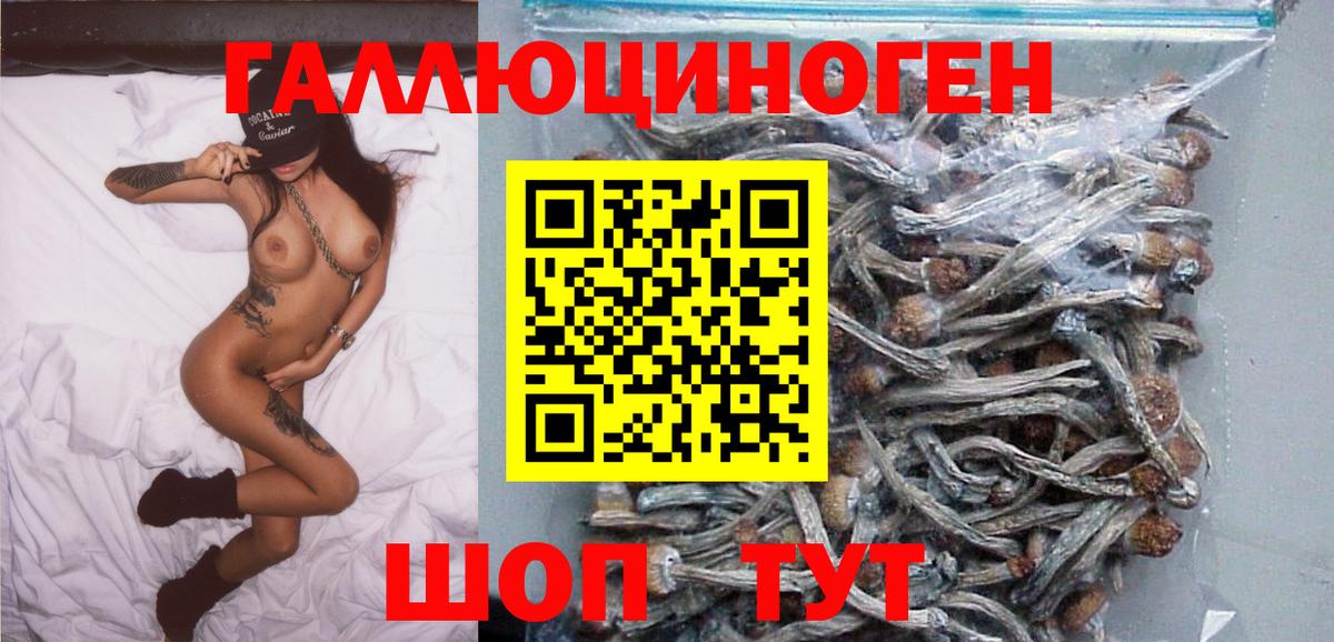 Псилоцибиновые грибы MAGIC MUSHROOMS Сыктывкар
